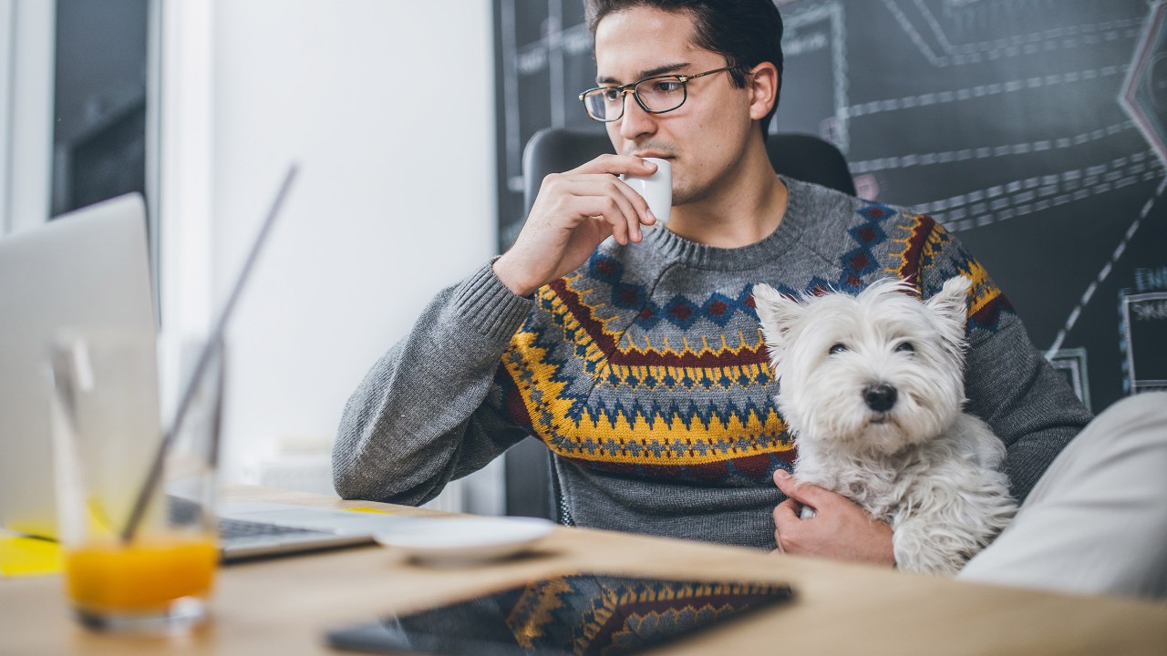 Mann mit seinem Hund am Arbeitsplatz