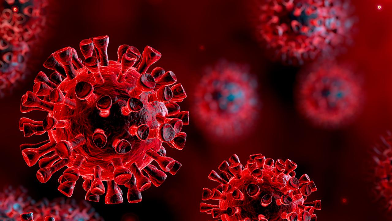 Corona Virus