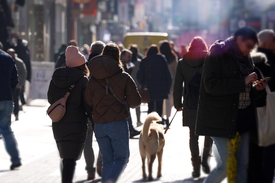 Menschen und ein Hund in der Fußgängerzone einer Stadt.
