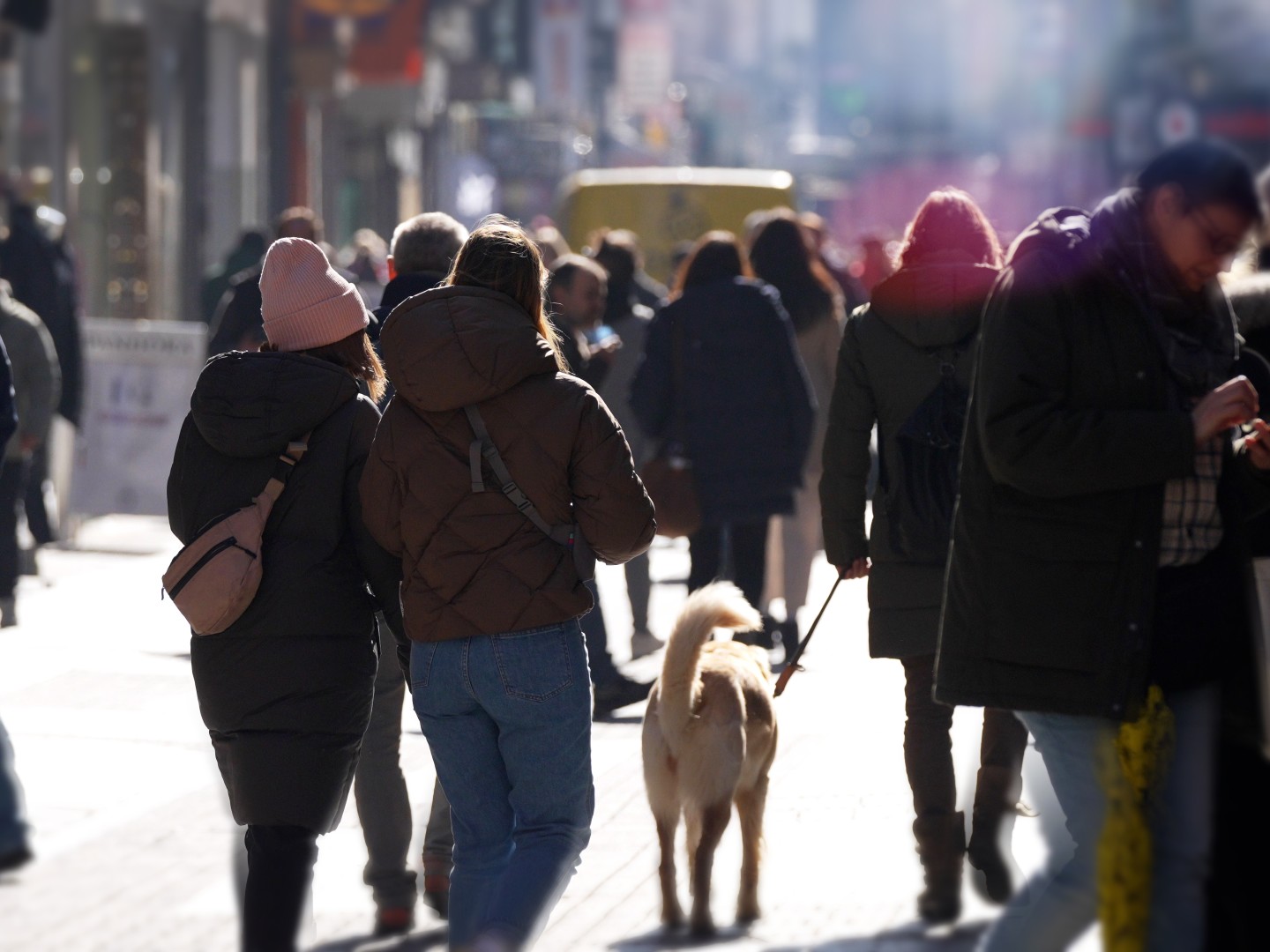 Menschen und ein Hund in der Fußgängerzone einer Stadt.