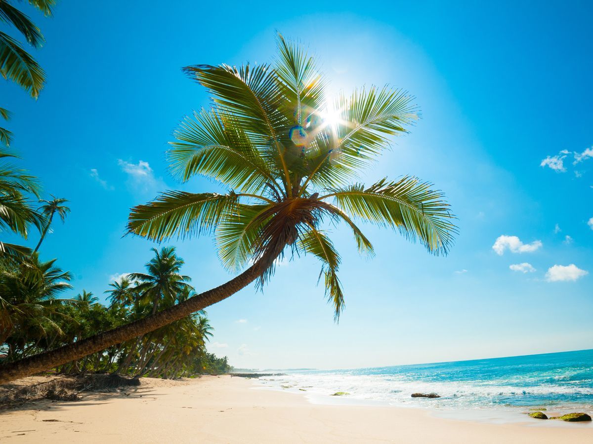 Die Wichtigsten Fragen Und Antworten Zum Urlaubsantrag