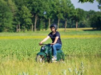 Raus aus der Krise