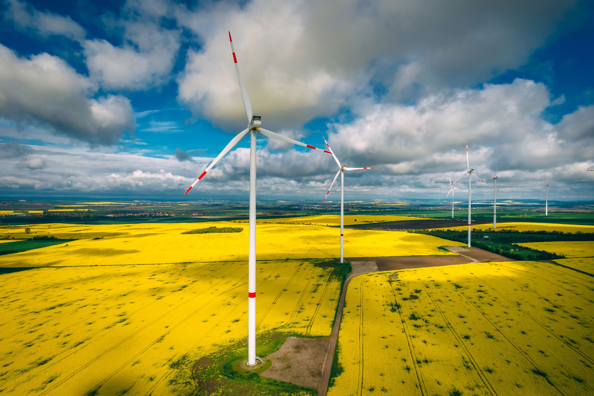 Windr&auml;der auf Rapsfeldern bis zum Horizont